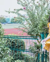 Ideal Pussy - 51-051