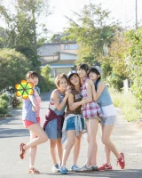 Ideal Pussy - 17-117