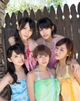 Ideal Pussy - 67-401